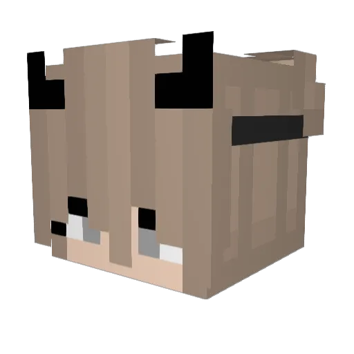 zKixraa Minecraft avatar head, 3D render