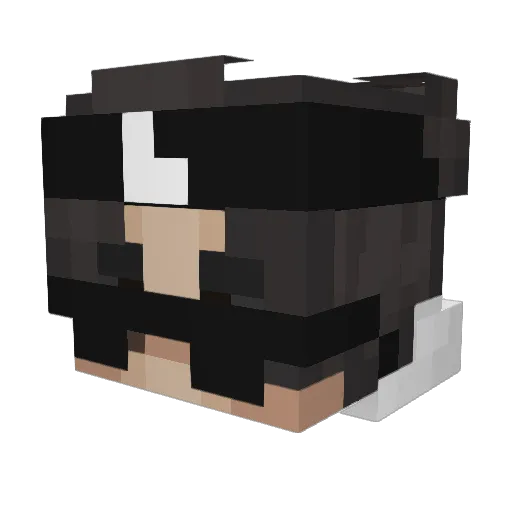 zLegs_ Minecraft avatar head, 3D render