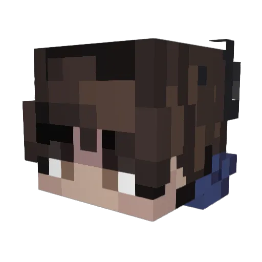 zLightninq Minecraft avatar head, 3D render