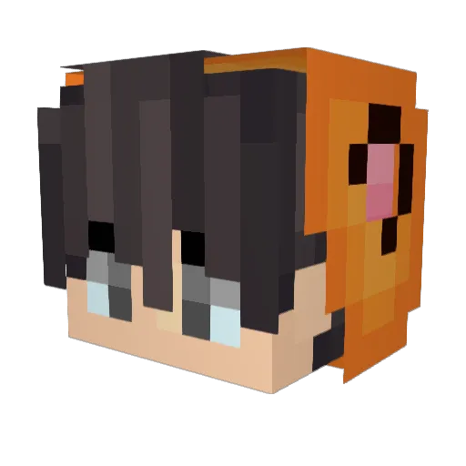 zLoxn0x Minecraft avatar head, 3D render