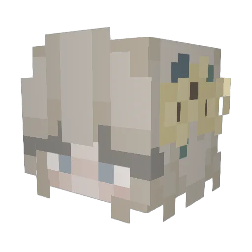 zMaarcel Minecraft avatar head, 3D render