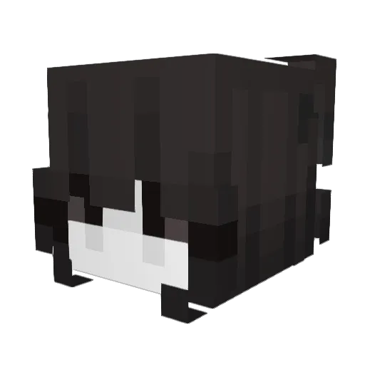 zMarion Minecraft avatar head, 3D render