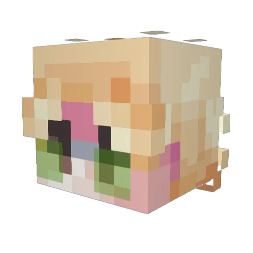 zMatsuo Minecraft avatar head, 3D render