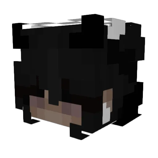 zMau_ Minecraft avatar head, 3D render