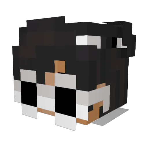 zMaycon221 Minecraft avatar head, 3D render