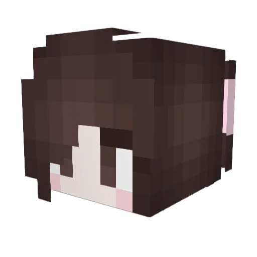 zMetix Minecraft avatar head, 3D render
