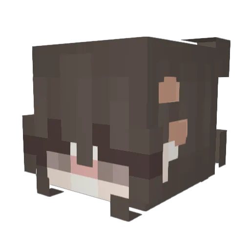 zNadia_ Minecraft avatar head, 3D render