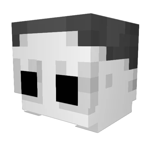 zNetori_ Minecraft avatar head, 3D render