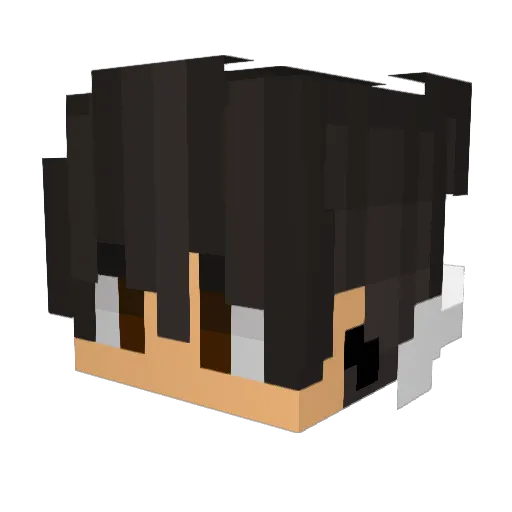 zNiffix Minecraft avatar head, 3D render