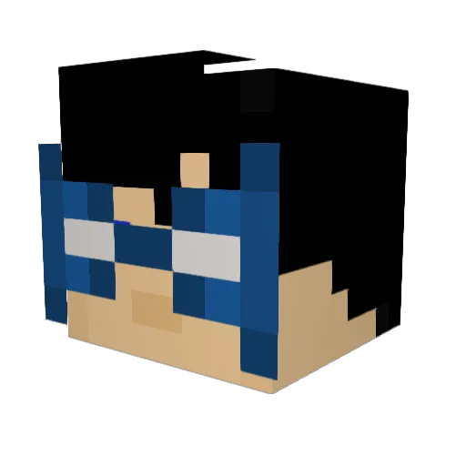 zNightwingz Minecraft avatar head, 3D render
