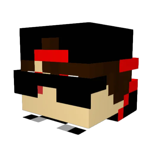 zNinjaBrGamer Minecraft avatar head, 3D render