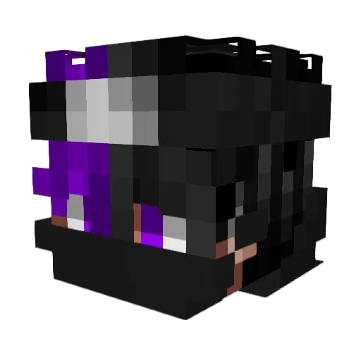 zNinjaDarkX Minecraft avatar head, 3D render