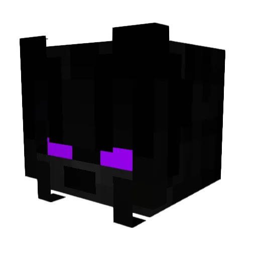 zNoMercySURFISTA Minecraft avatar head, 3D render