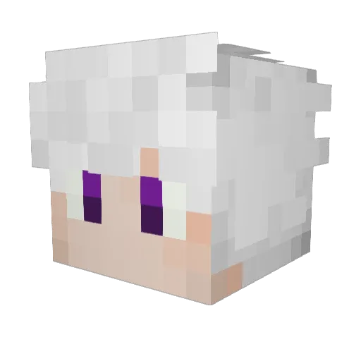 zNostUS Minecraft avatar head, 3D render