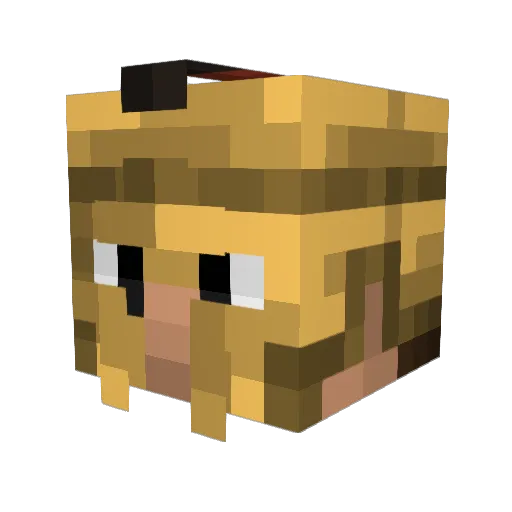 zNubQuake22 Minecraft avatar head, 3D render