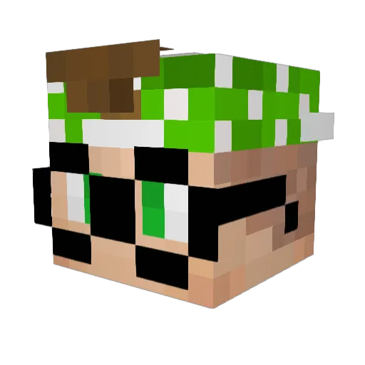 zPaladyn Minecraft avatar head, 3D render