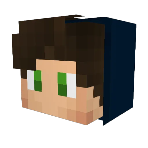 zPingu_ Minecraft avatar head, 3D render