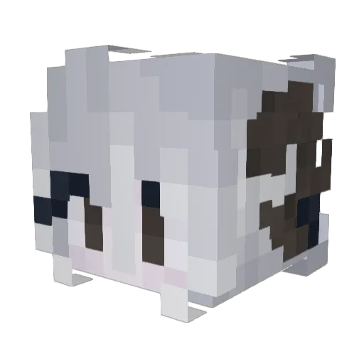 zPinguz Minecraft avatar head, 3D render