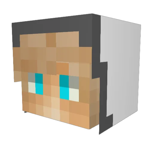 zPollox Minecraft avatar head, 3D render
