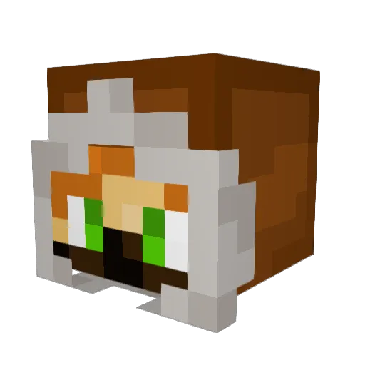 zQLama Minecraft avatar head, 3D render