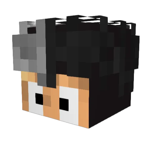 zRafux___ Minecraft avatar head, 3D render