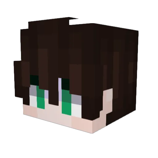 zReezZ Minecraft avatar head, 3D render