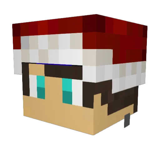 zRocha_ Minecraft avatar head, 3D render