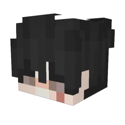 zRodox_ Minecraft avatar head, 3D render