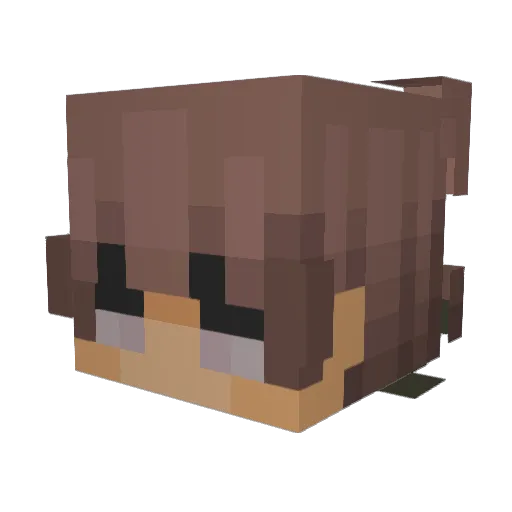 zRubi Minecraft avatar head, 3D render