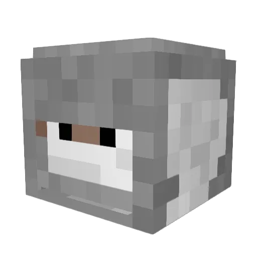 zSahil Minecraft avatar head, 3D render