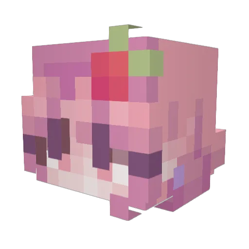 zSamburgerz Minecraft avatar head, 3D render