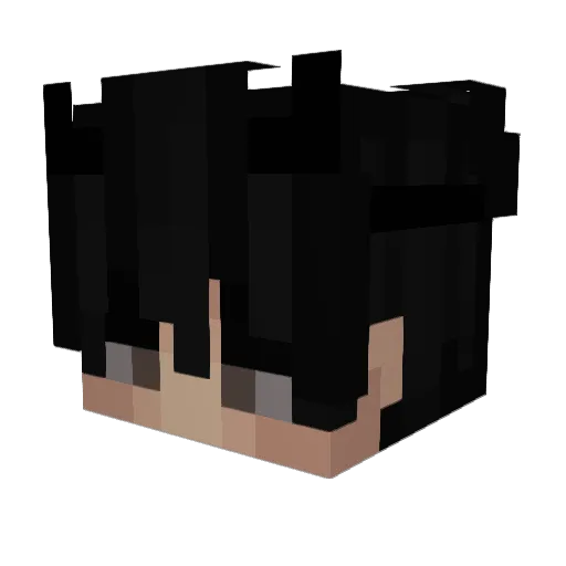 zSanty Minecraft avatar head, 3D render