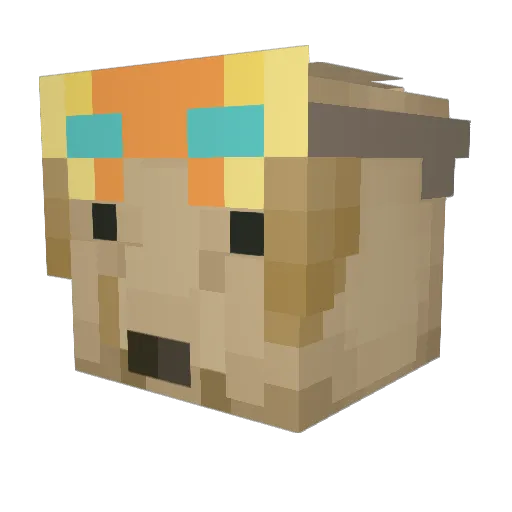 zSklls Minecraft avatar head, 3D render