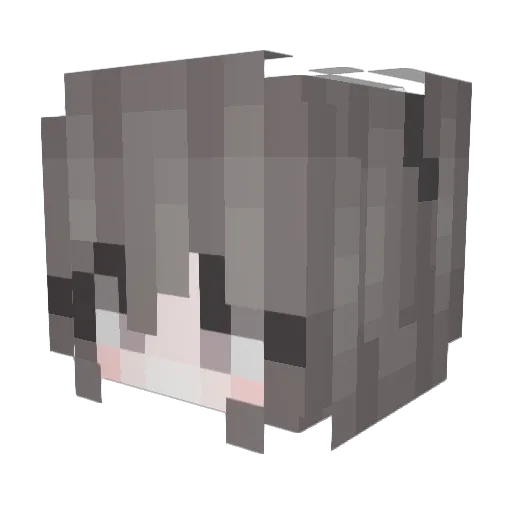 zSmileyz Minecraft avatar head, 3D render