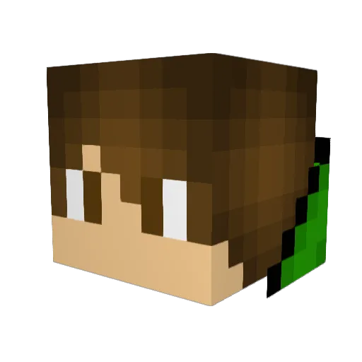 zSonic22_YT Minecraft avatar head, 3D render