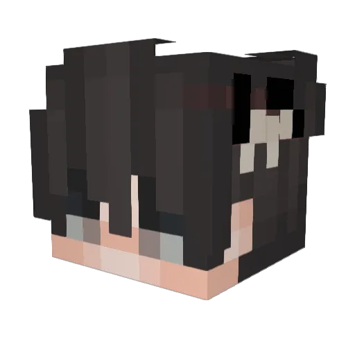 zSrRodrox12_ Minecraft avatar head, 3D render