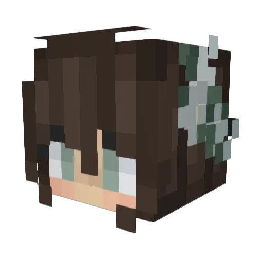 zStarzzz_ Minecraft avatar head, 3D render