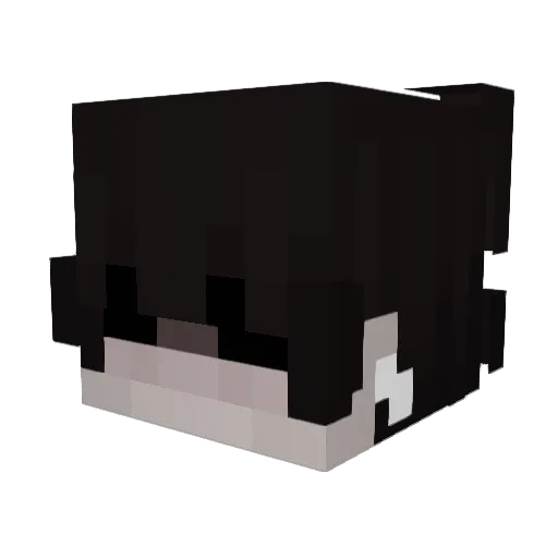 zStephan Minecraft avatar head, 3D render