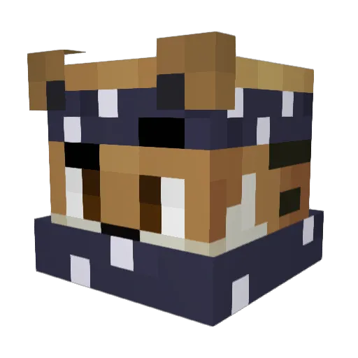 zSuport1 Minecraft avatar head, 3D render