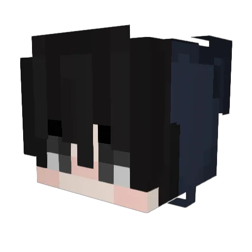 zSushi Minecraft avatar head, 3D render
