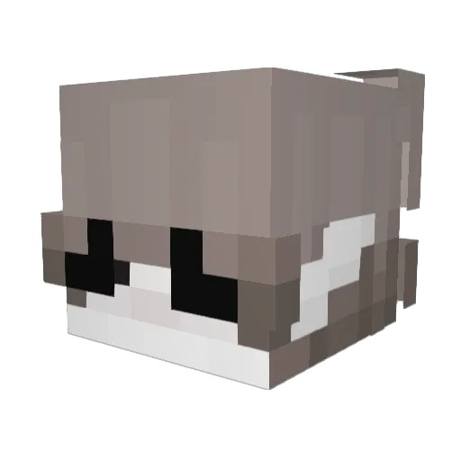 zSweek Minecraft avatar head, 3D render