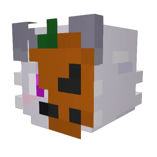 zSwoon_ Minecraft avatar head, 3D render