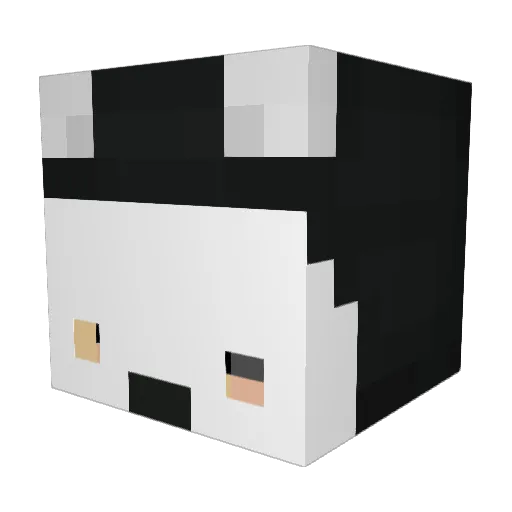 zSxnox Minecraft avatar head, 3D render