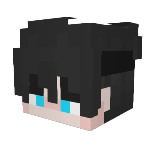 zTLucas Minecraft avatar head, 3D render