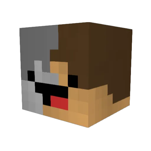 zTayl Minecraft avatar head, 3D render