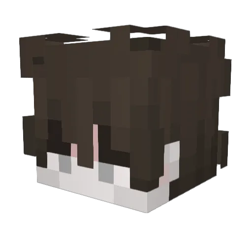 zTempo Minecraft avatar head, 3D render