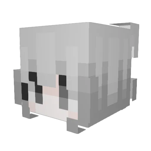 zTola Minecraft avatar head, 3D render