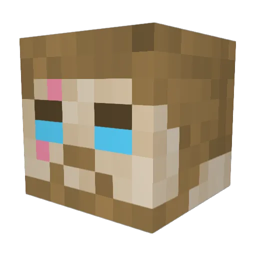 zTomHD666 Minecraft avatar head, 3D render