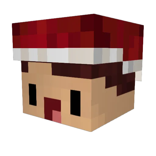 zUfox Minecraft avatar head, 3D render