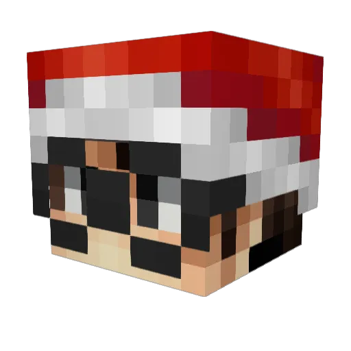 zValiB3Y Minecraft avatar head, 3D render